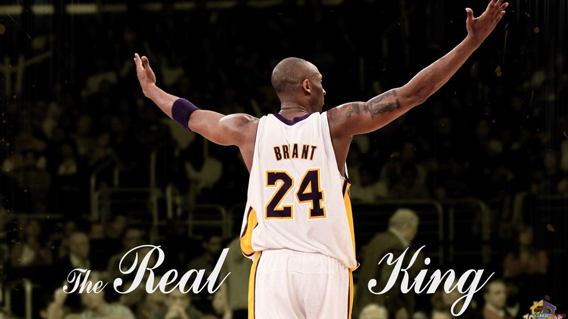 出色防守首场状态出色，阿森纳观众沸腾！穆古鲁扎重返赛场赢得满堂喝彩