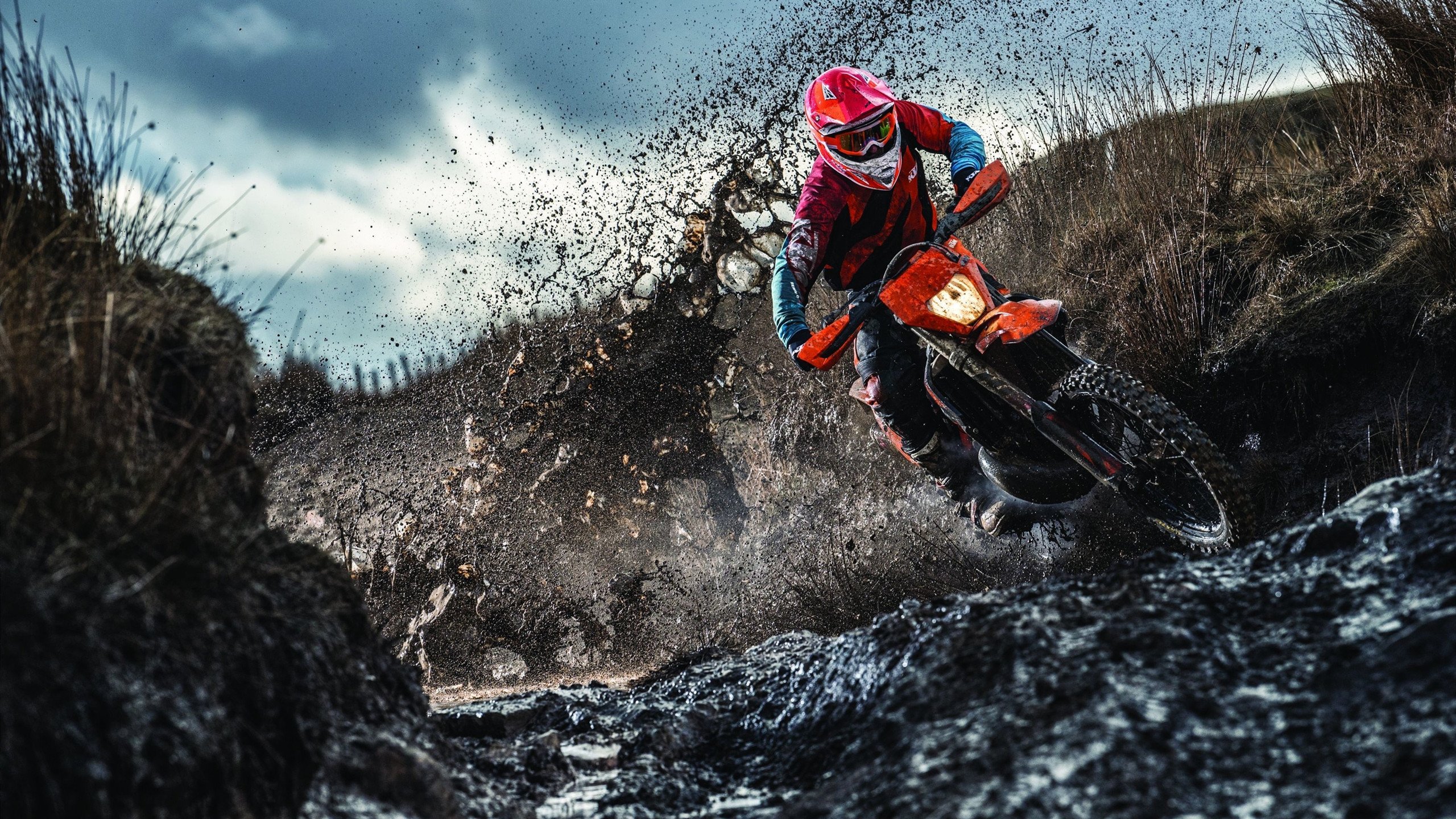 夺冠引爆全场！，JackeyLove意外战胜篮网引发球迷热议